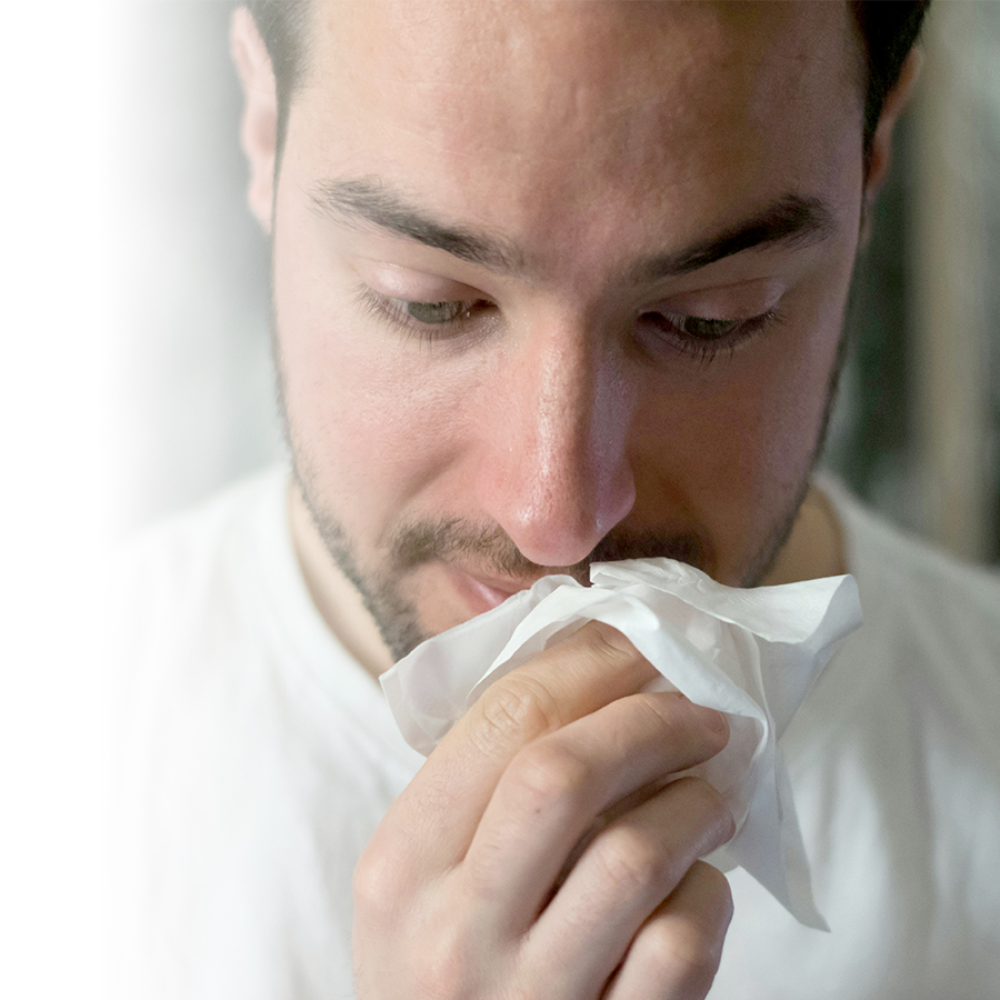 Savoir distinguer les allergènes pour mieux gérer les symptômes d’allergie